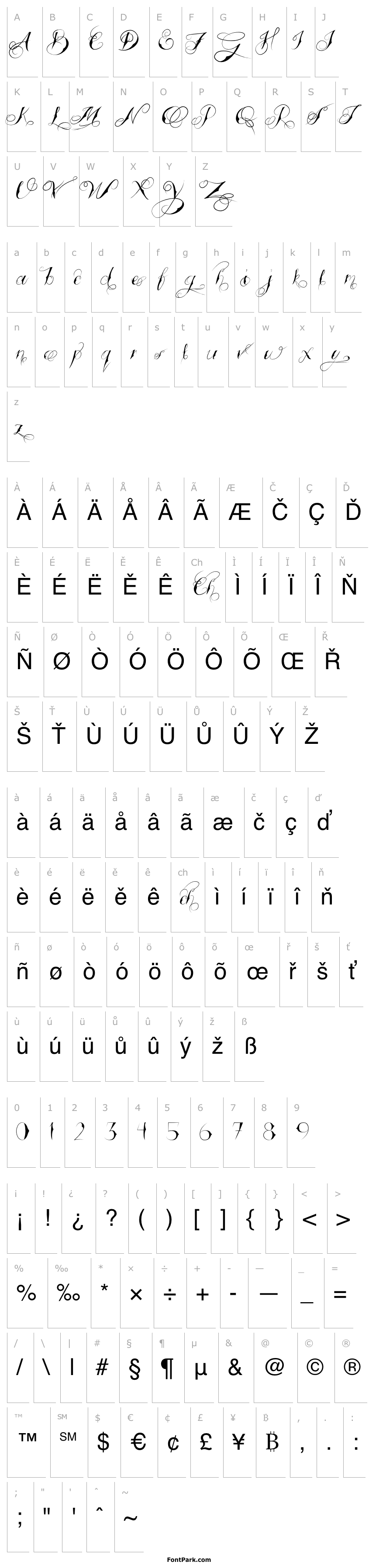 Overview Tattooed Wedding