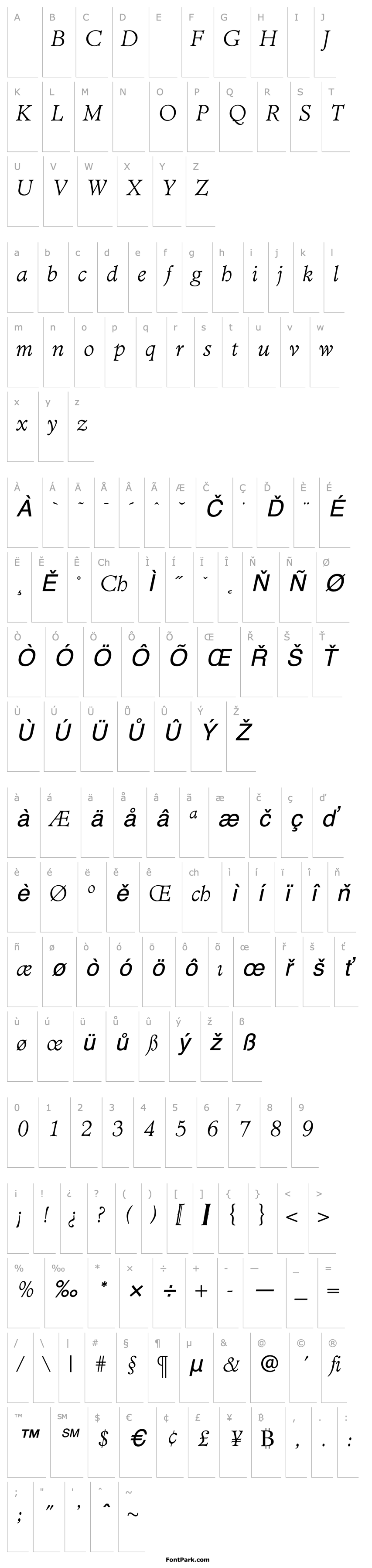 Přehled TCAdministerLightItalic