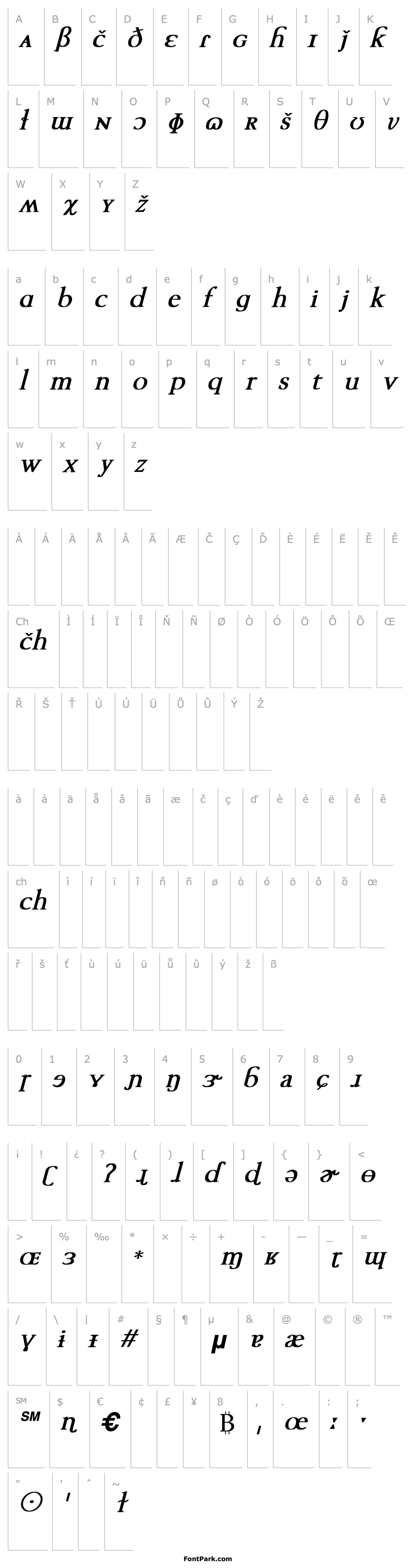 Přehled TechPhonetic Bold Italic