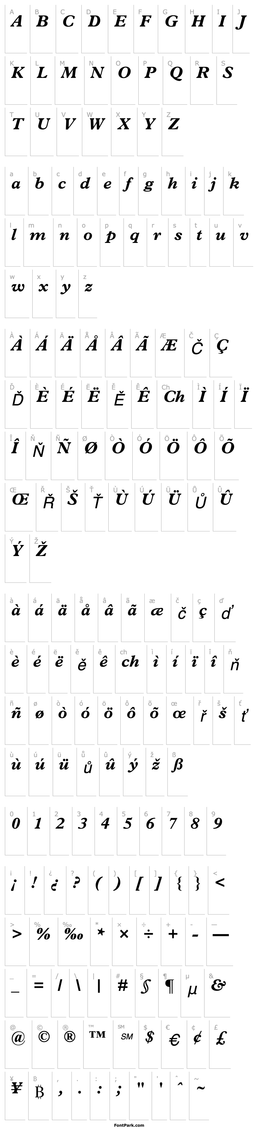 Overview Terminus Black SSi Bold Italic