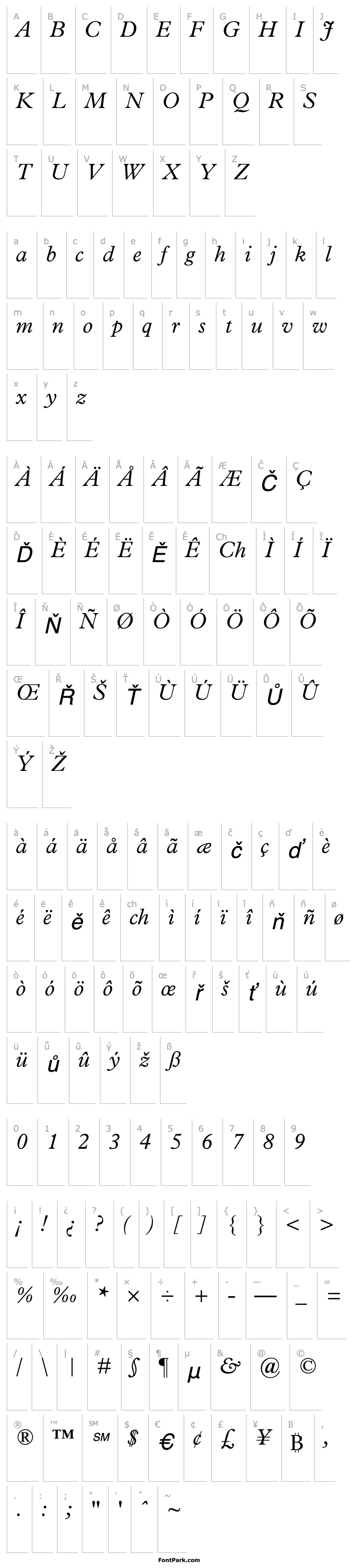 Přehled Terminus Light SSi Light Italic