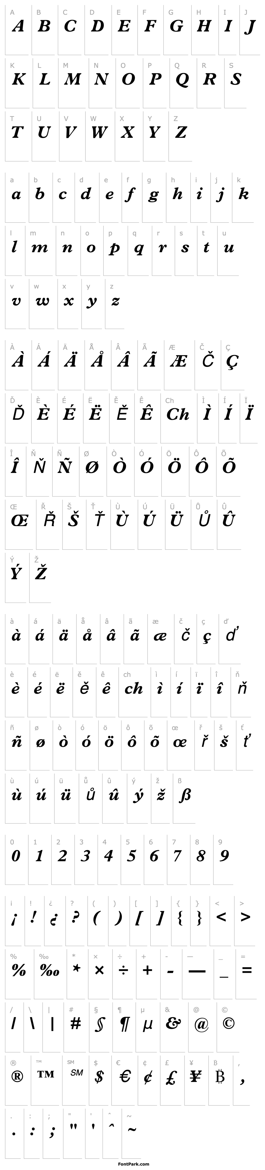 Overview TerminusBlackSSK Italic