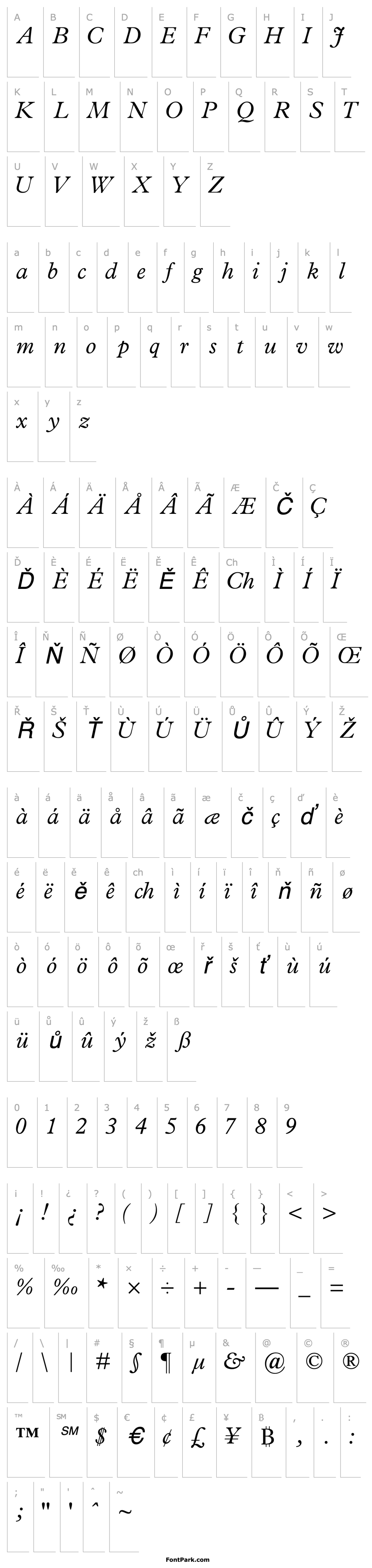 Přehled TerminusLightSSK Italic