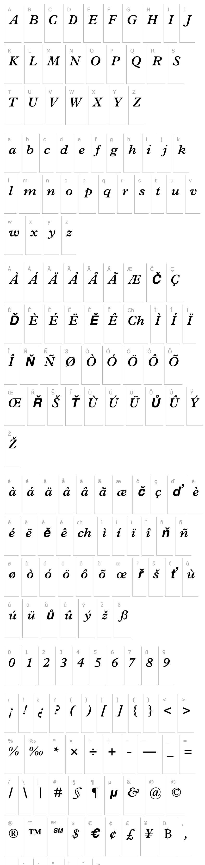 Overview TerminusSSK Bold Italic