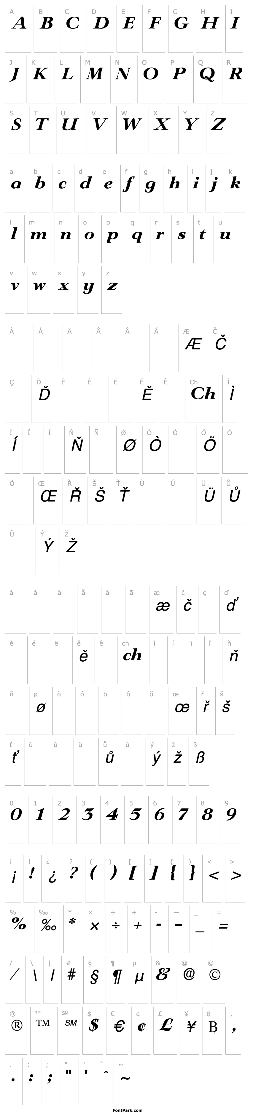 Přehled TeronoDisplaySSK Italic