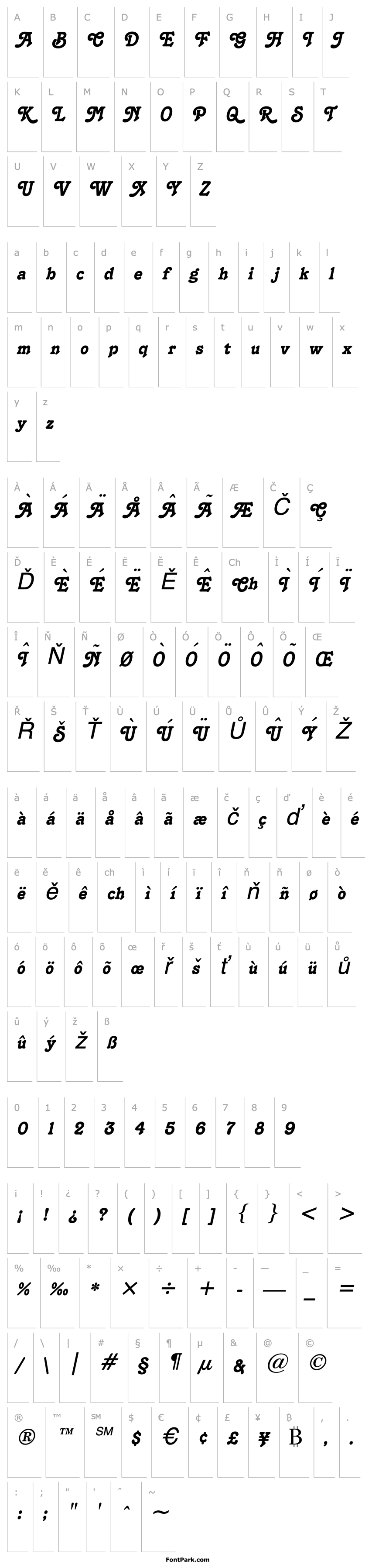 Overview Terra Italic