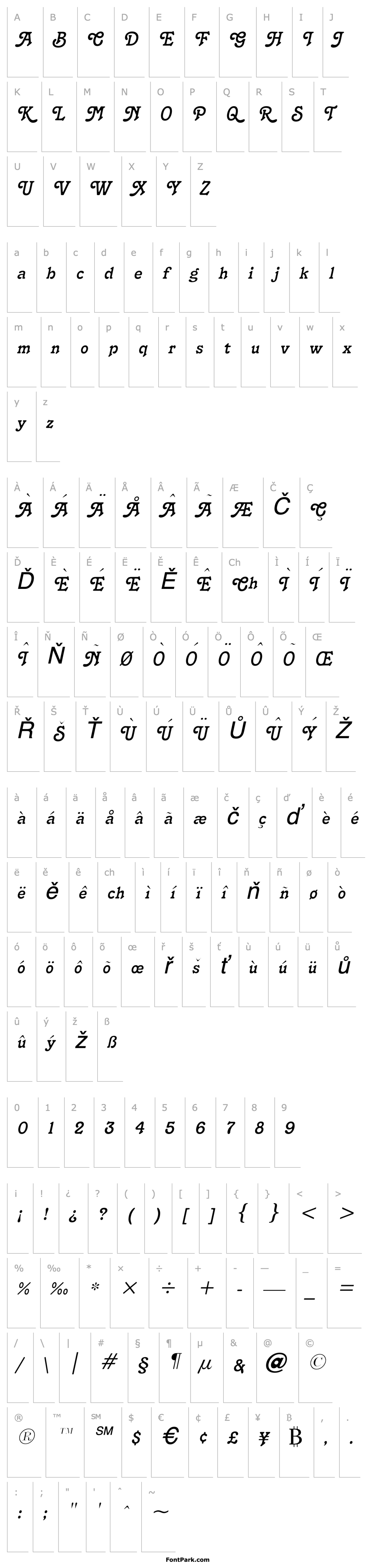 Přehled Terra Narrow Italic