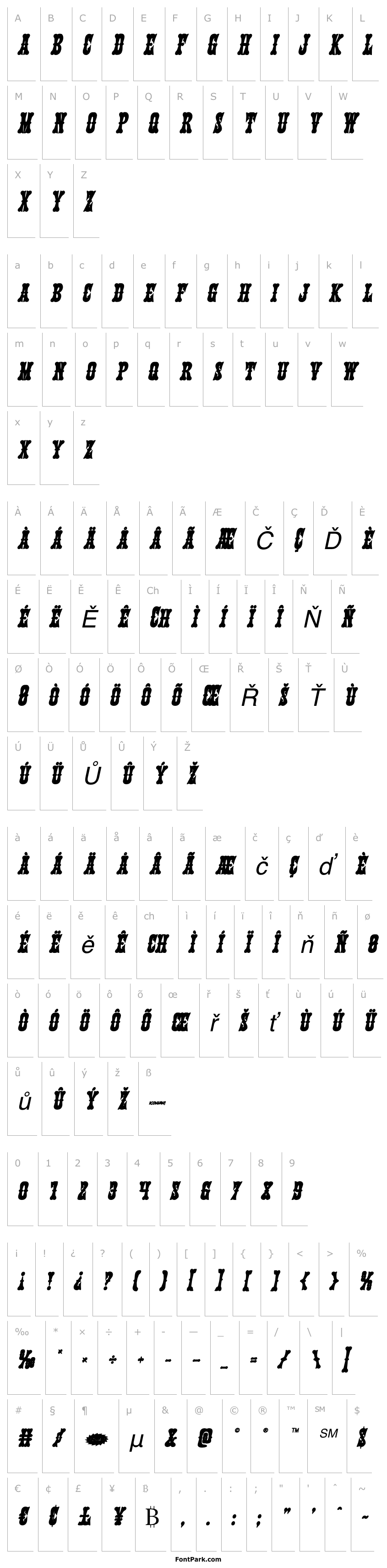 Přehled Texas Ranger Bold Italic