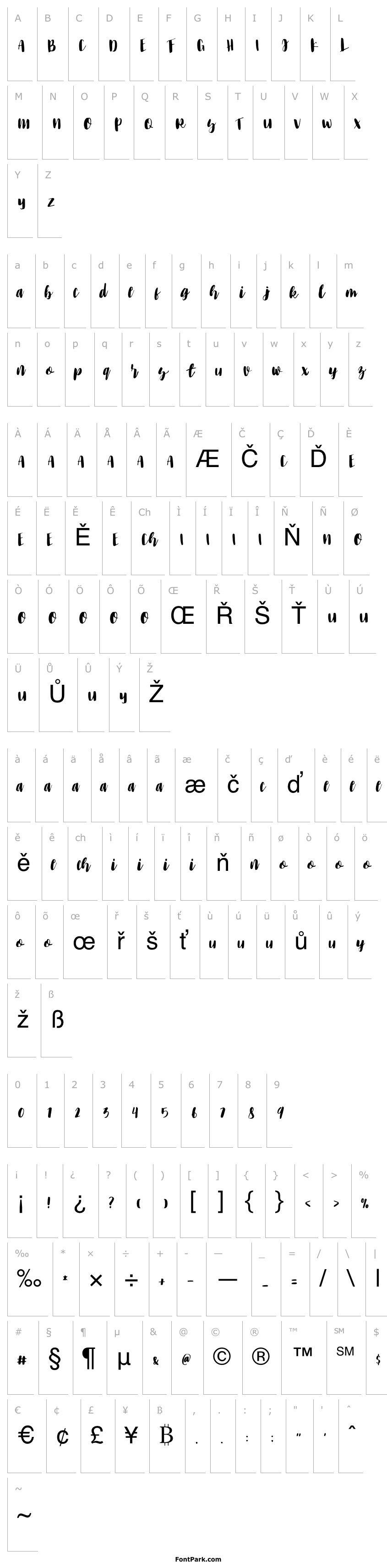 Overview The Black Cats