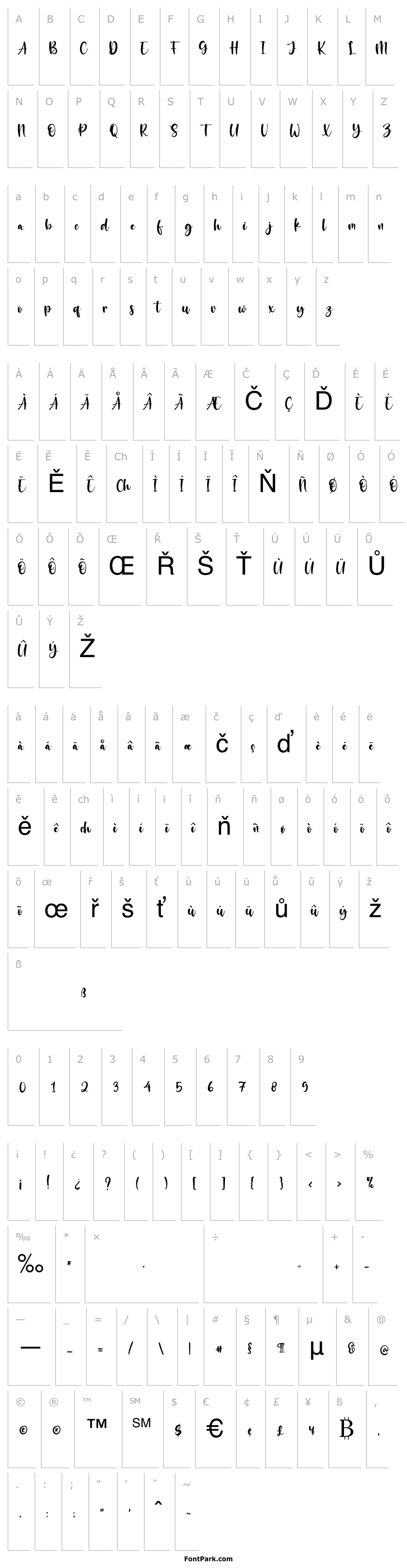 Overview The Blester