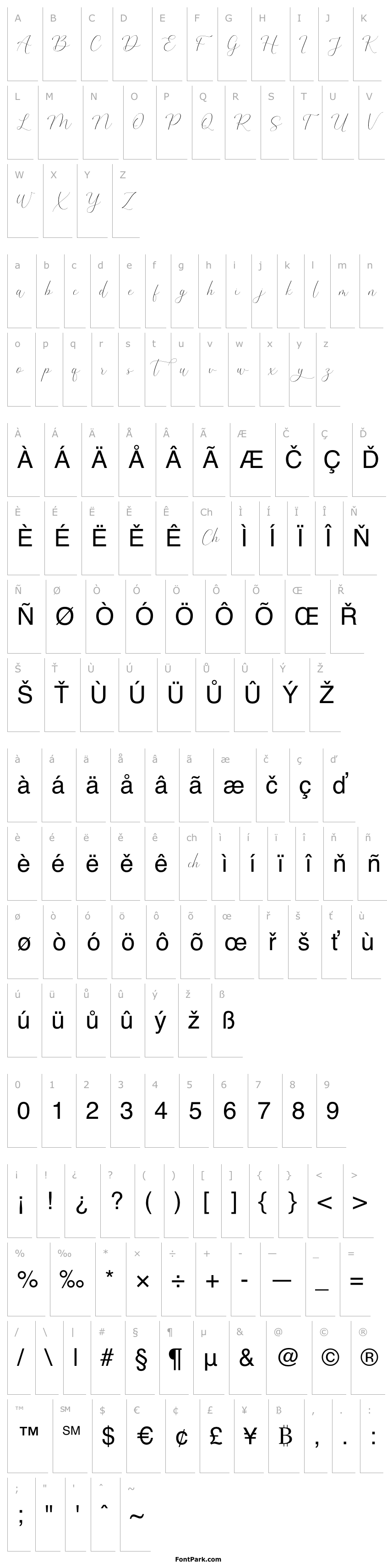 Overview The Britney