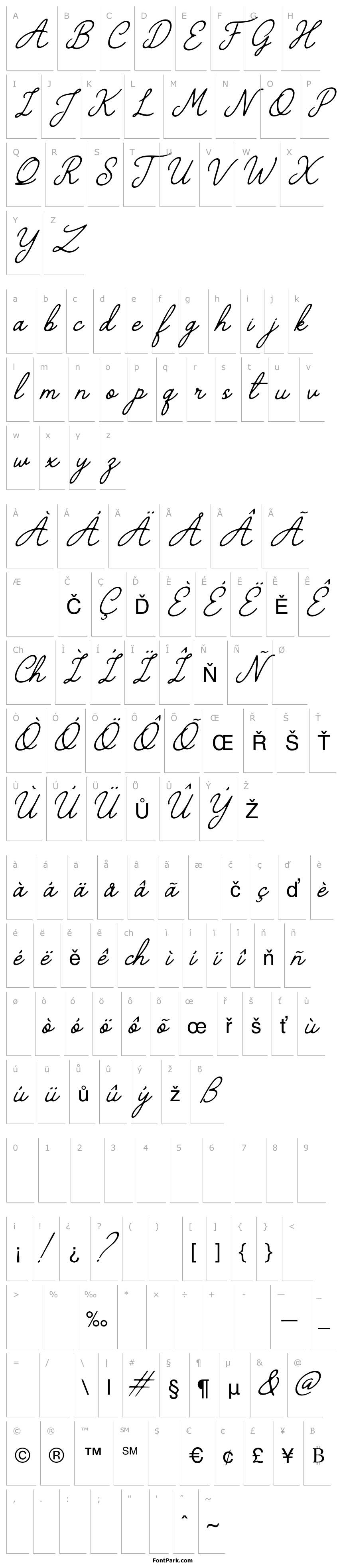 Přehled The Grateful 4