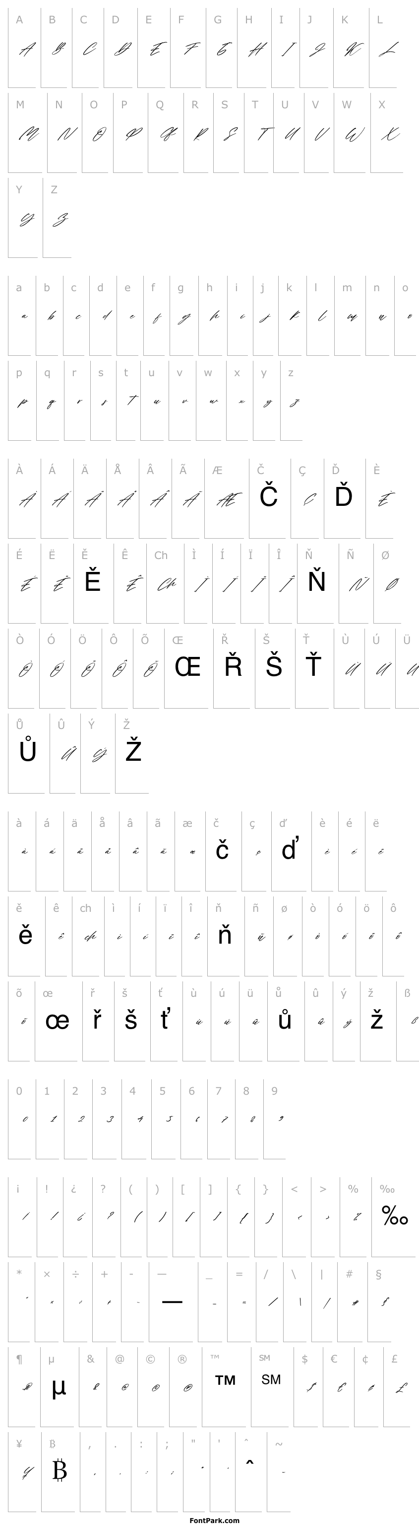 Přehled The Human Italic