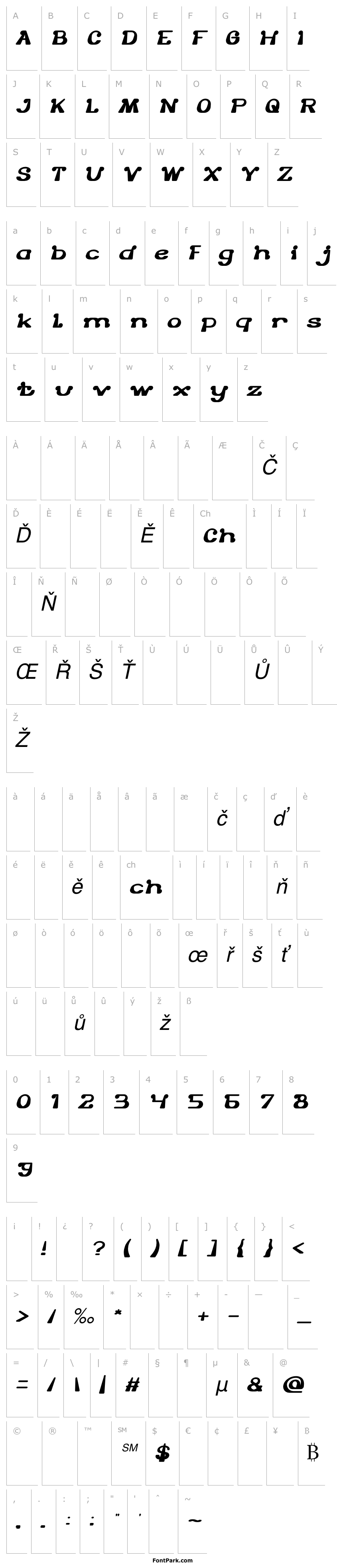 Přehled The One and Only Italic
