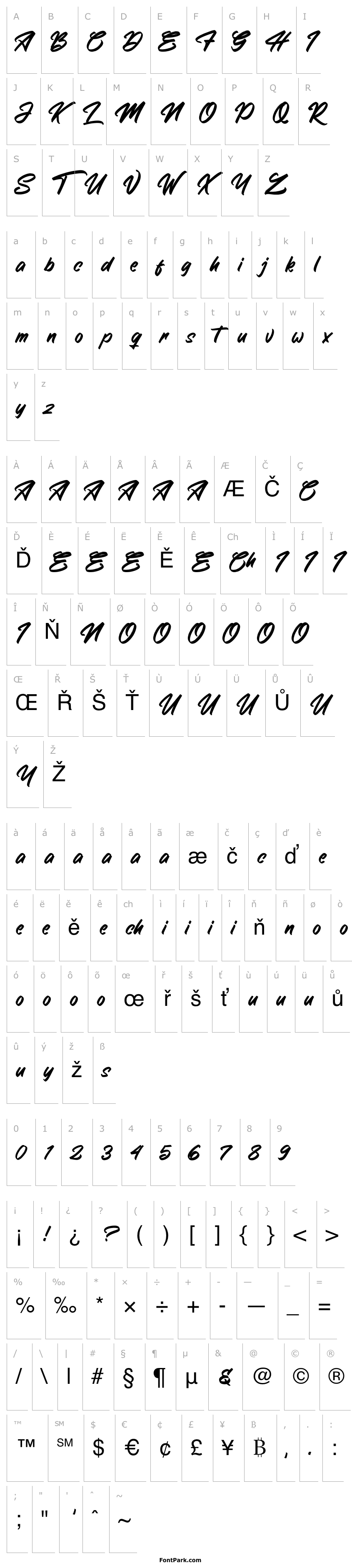 Overview The Saxibrush