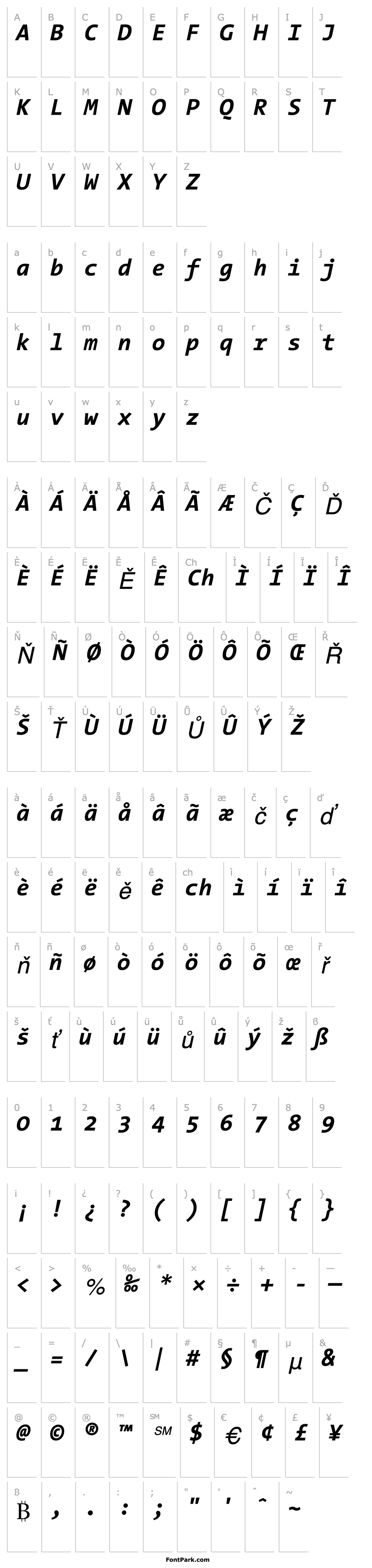 Přehled TheSansMono Bold Italic