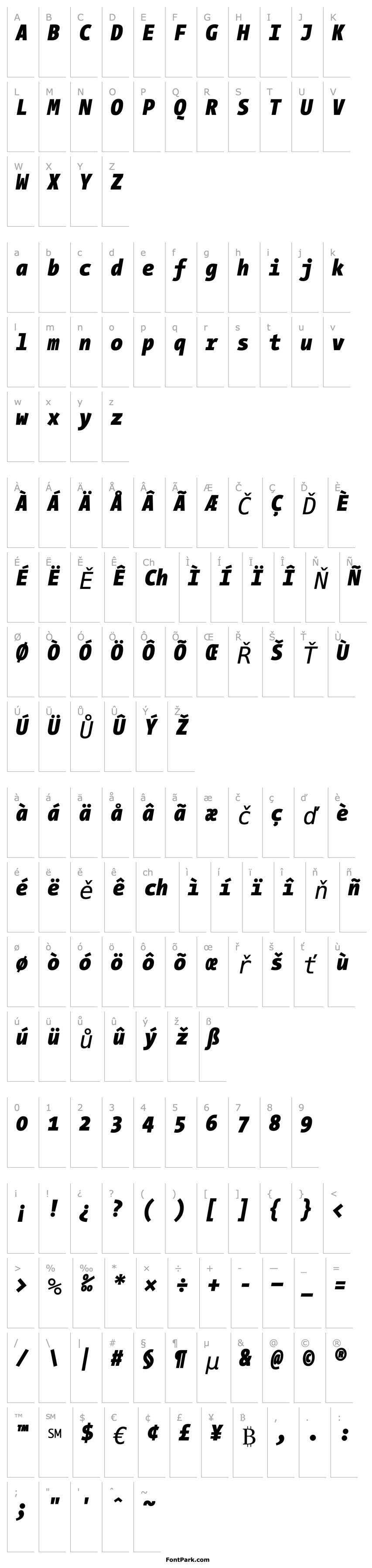 Overview TheSansMonoCondensed Black Italic