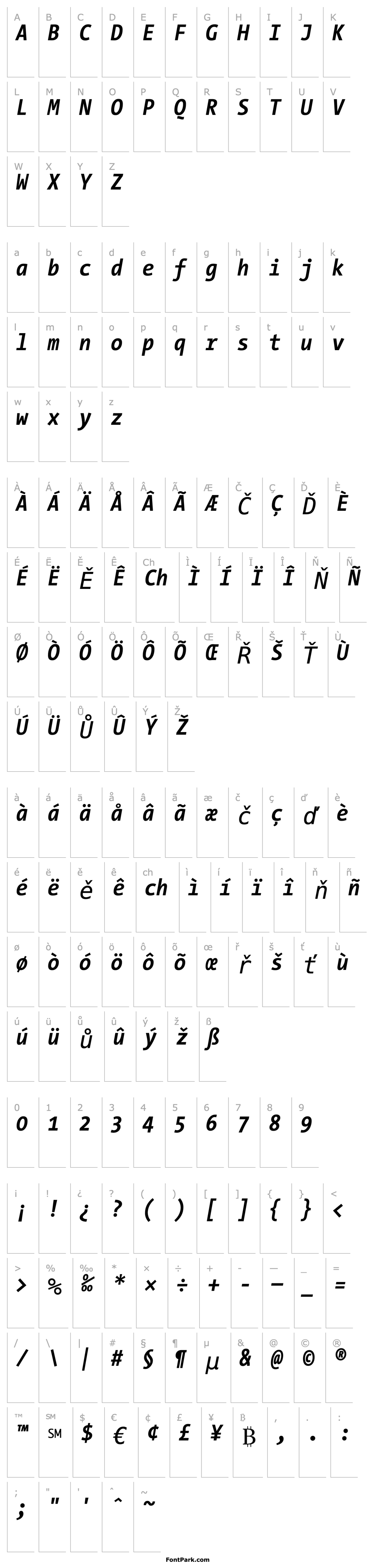 Overview TheSansMonoCondensed Bold Italic