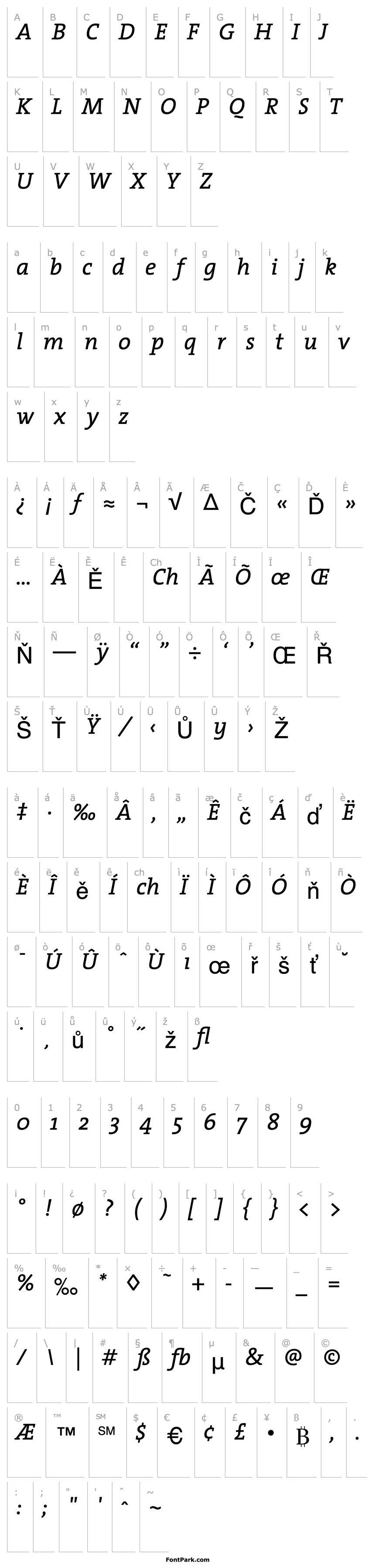 Overview TheSerif-Italic