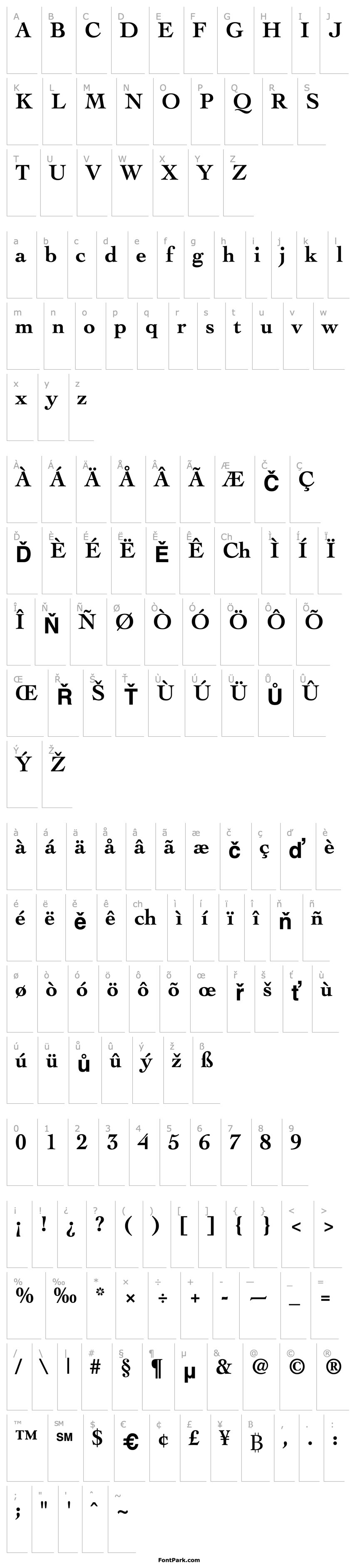 Přehled Thesis SSi Bold