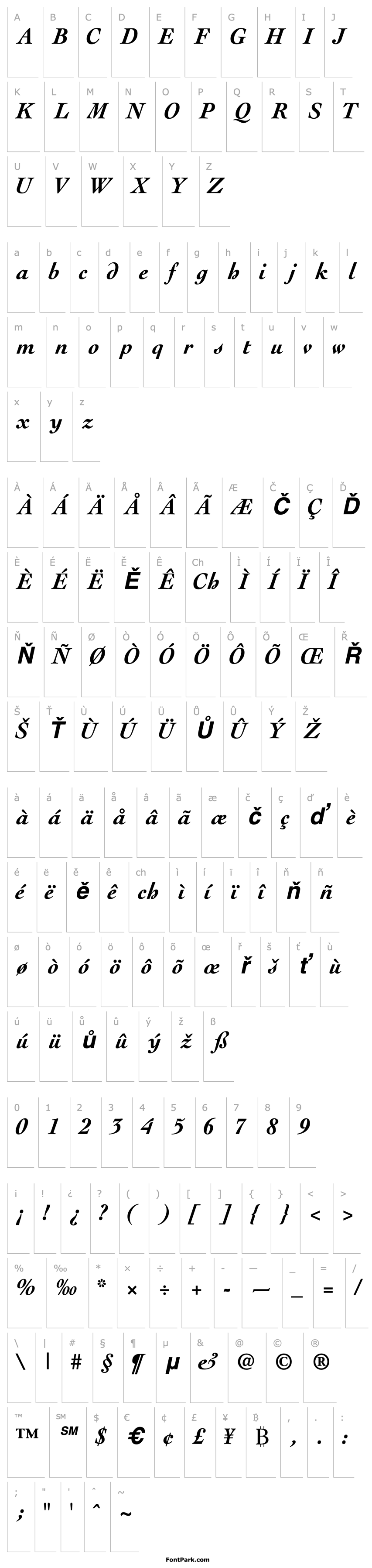 Přehled ThesisSSK Bold Italic