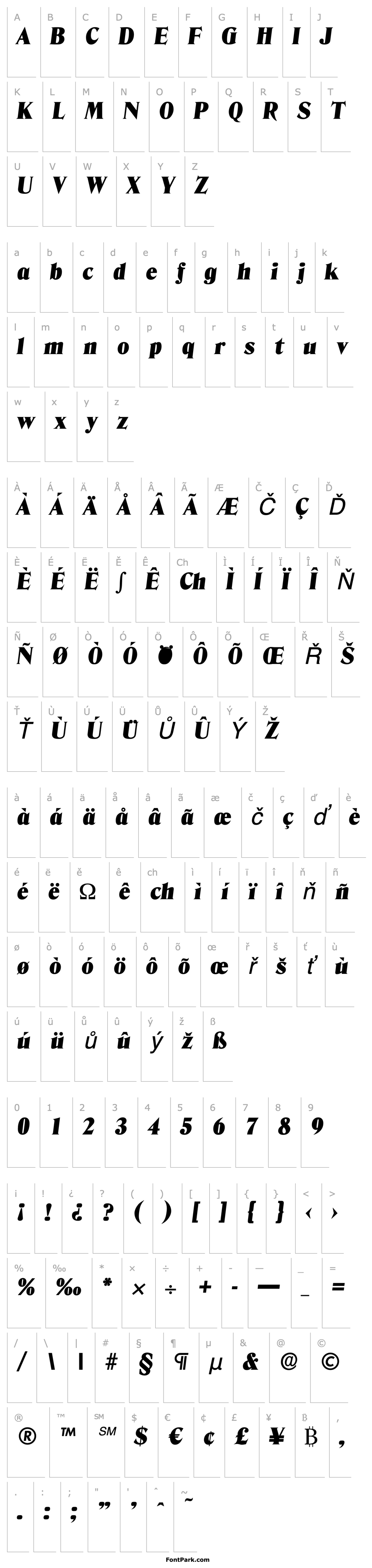 Přehled ThomasBecker-Black Italic