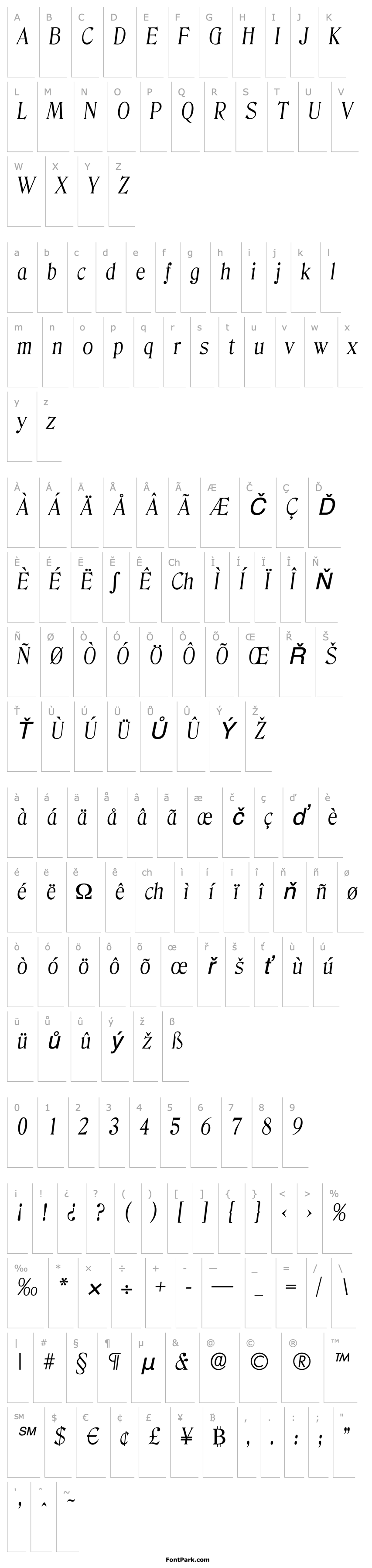 Přehled ThomasBecker-Light Italic