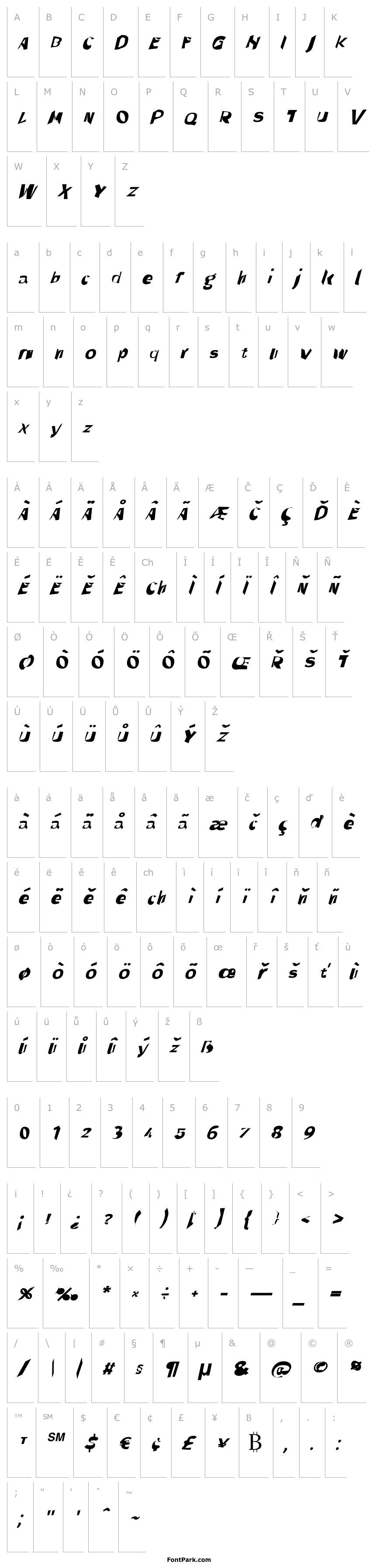 Overview Through The Black Wide Italic