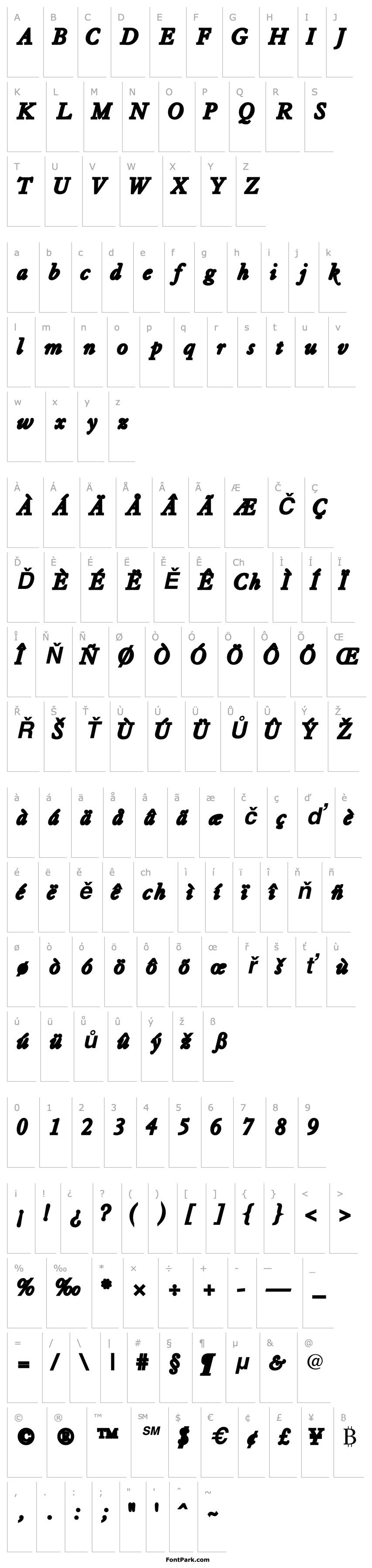 Přehled TiascoSSK Bold Italic