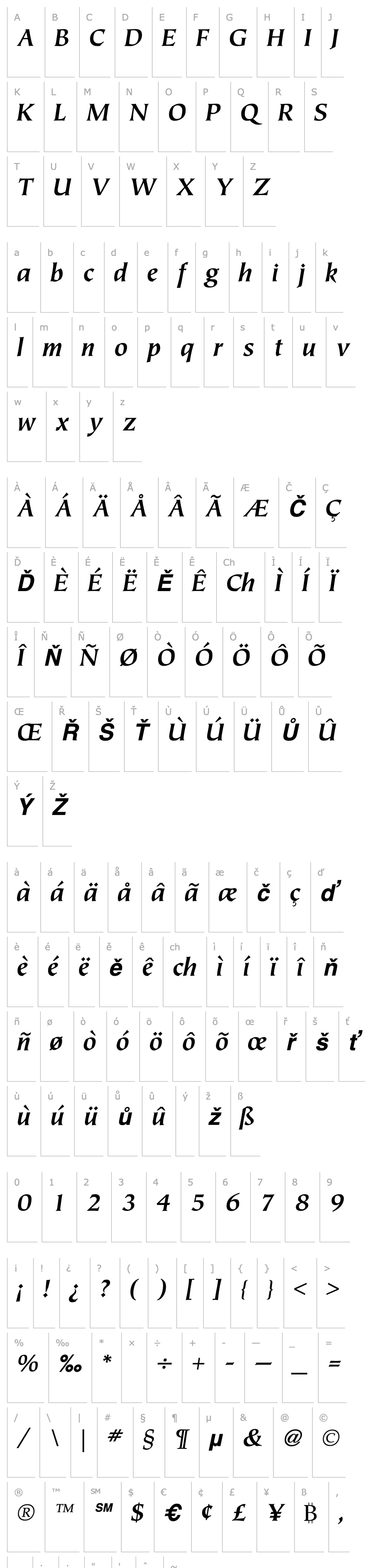 Přehled Tiepolo Bold Italic