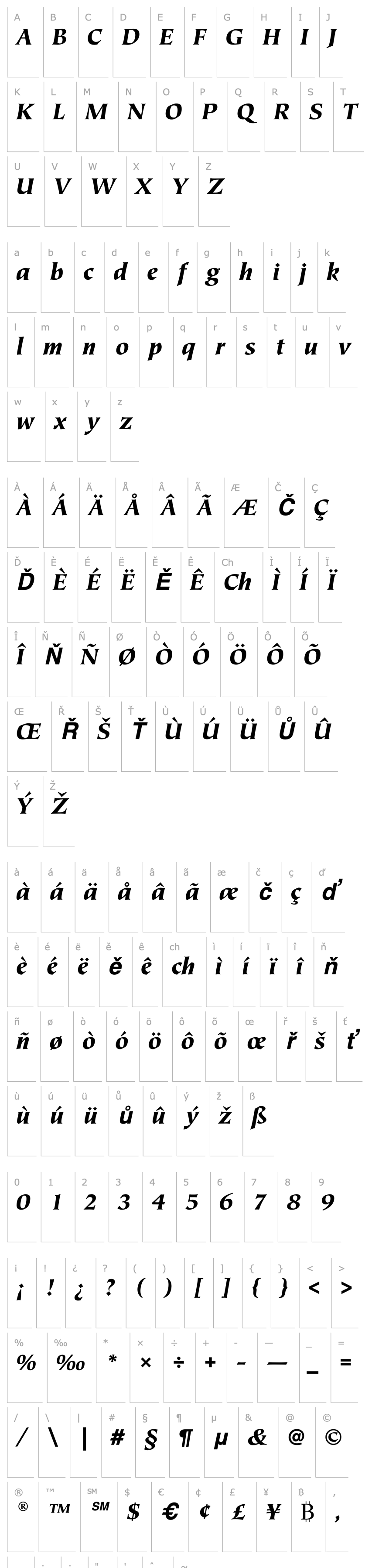 Přehled TiepoloEF-BlackItalic