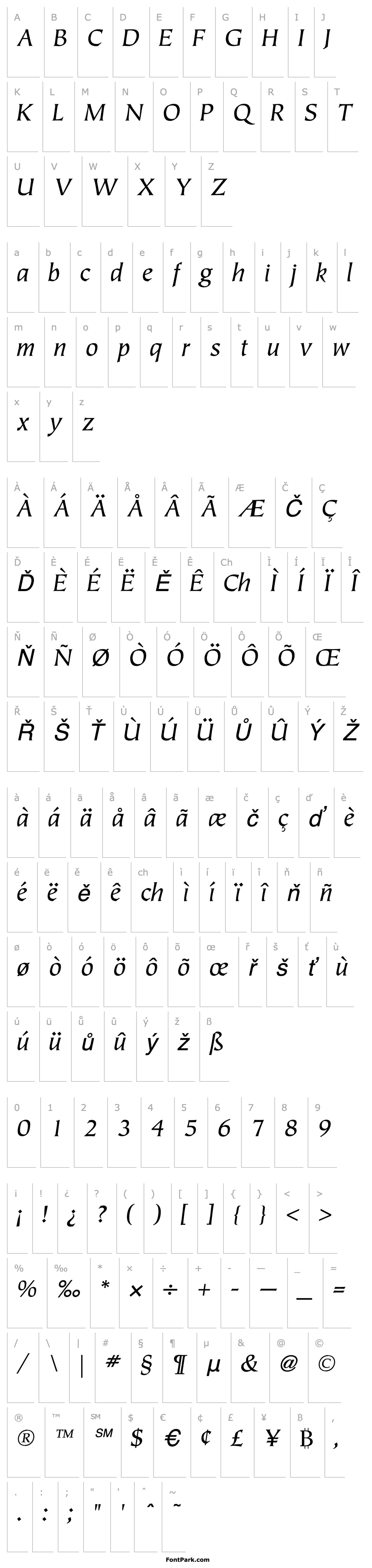 Overview TiepoloICGBookItalic