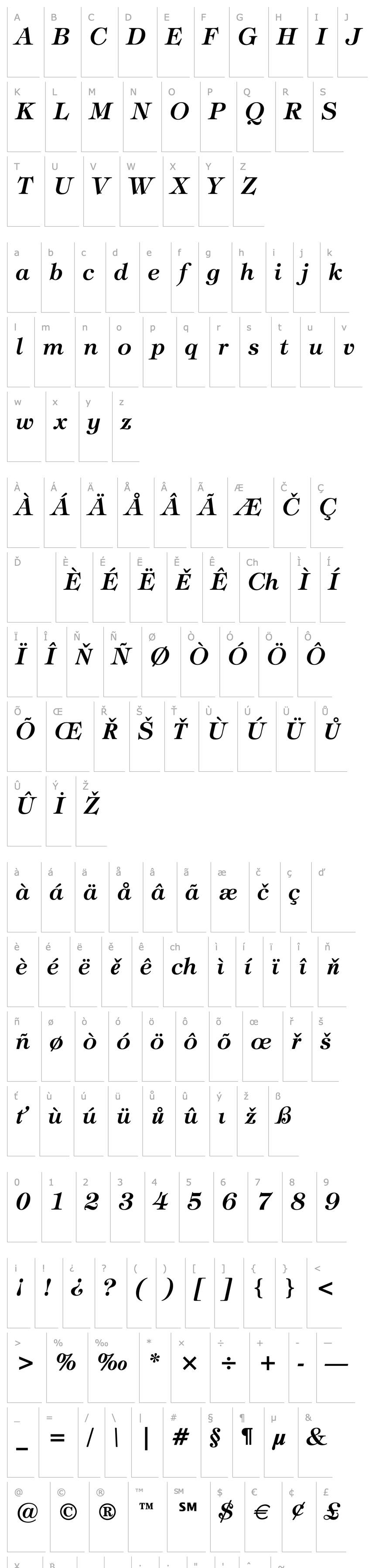 Overview Tiffany Demi Italic BT