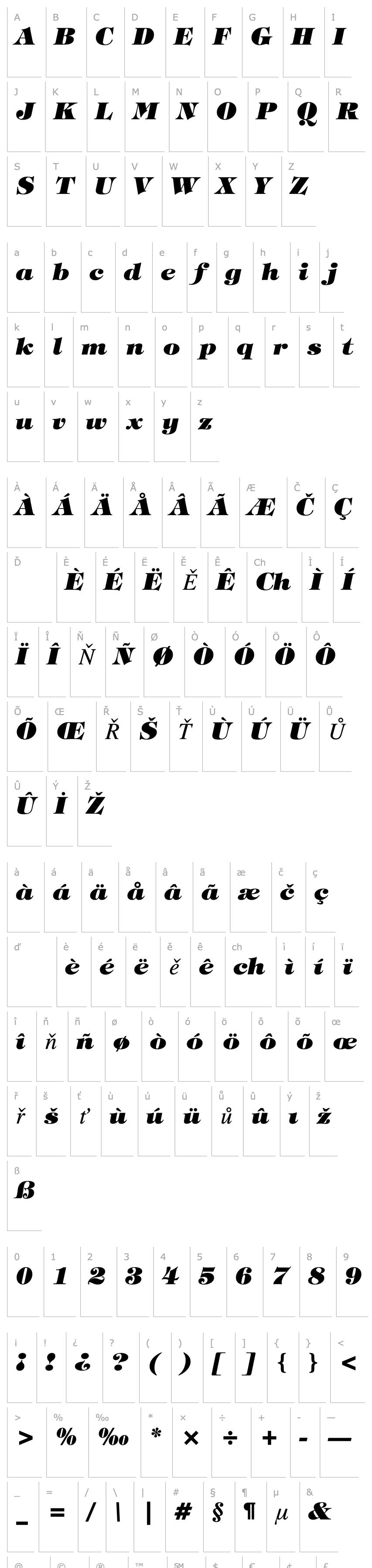 Overview Tiffany Heavy Italic BT