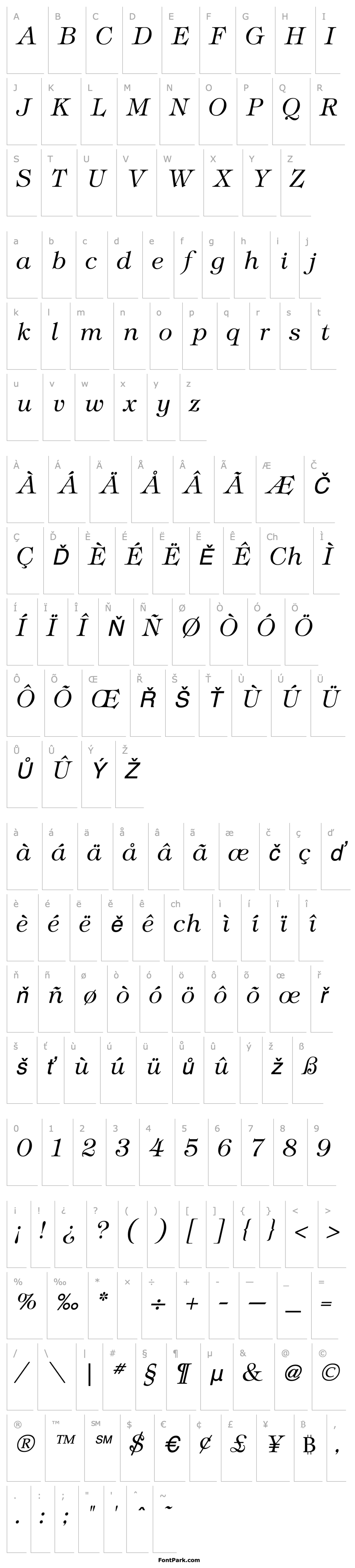 Overview Tiffany Light Italic