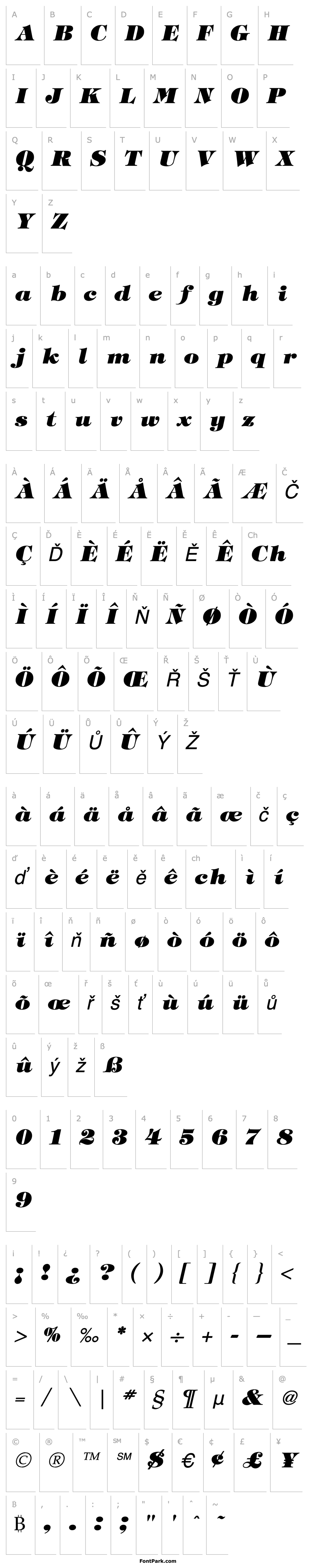 Přehled TiffanyHeavyItalic