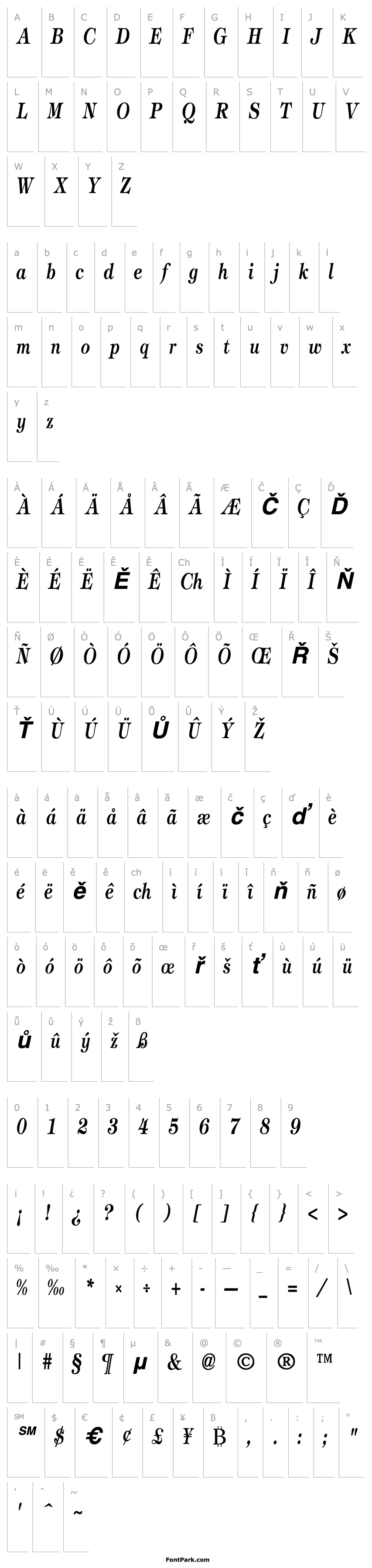 Overview TimbrelCondensed Bold Italic