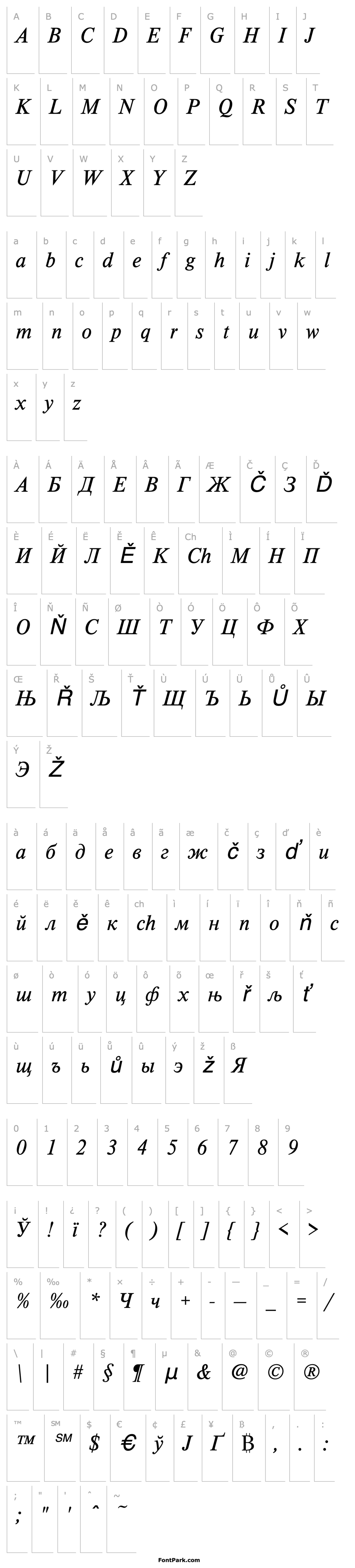 Přehled TimelessTCYLig Italic