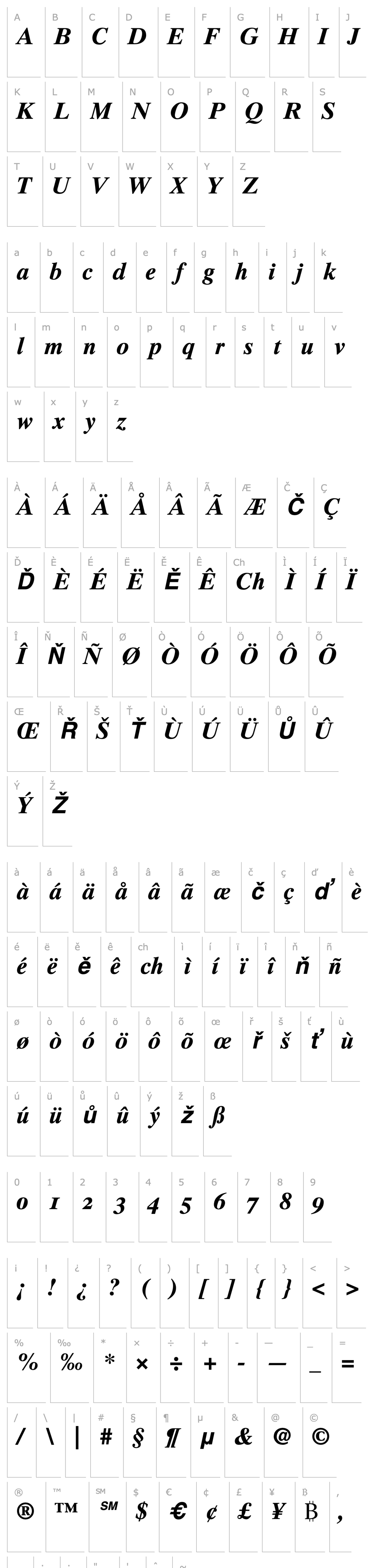 Overview Times 10 Bold Italic Oldstyle Figures