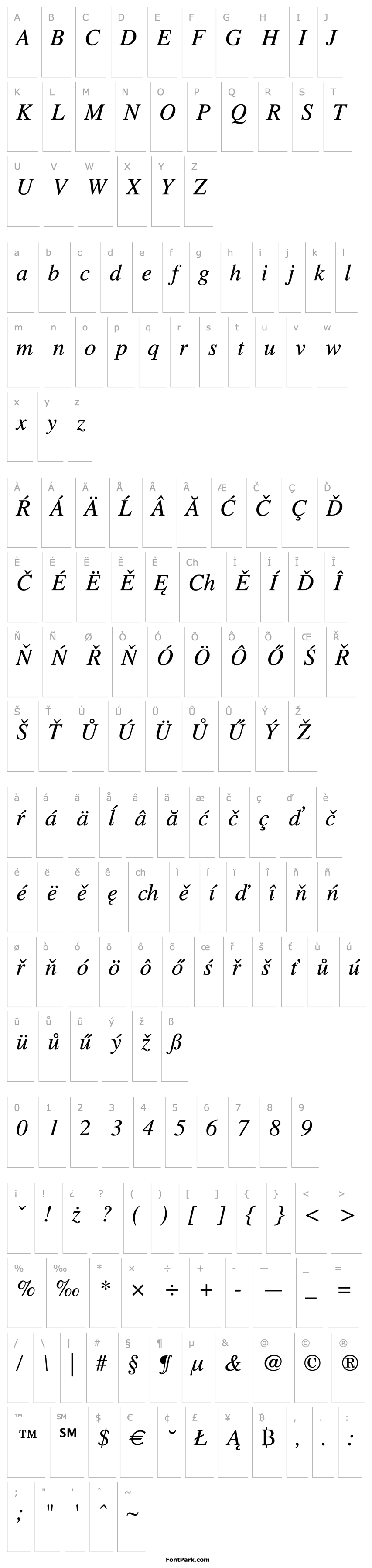 Overview Times CE Italic