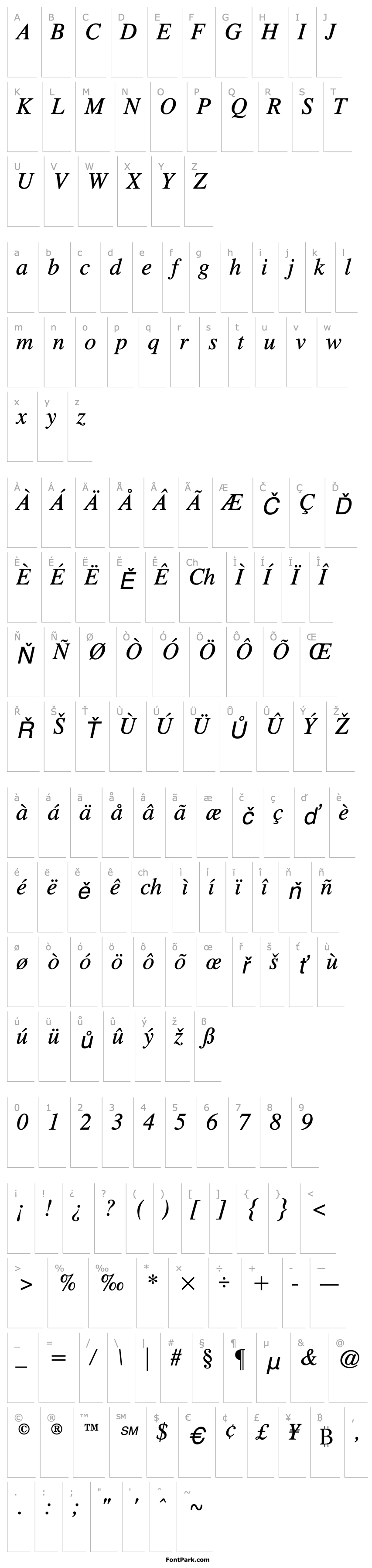 Overview Times CG Italic