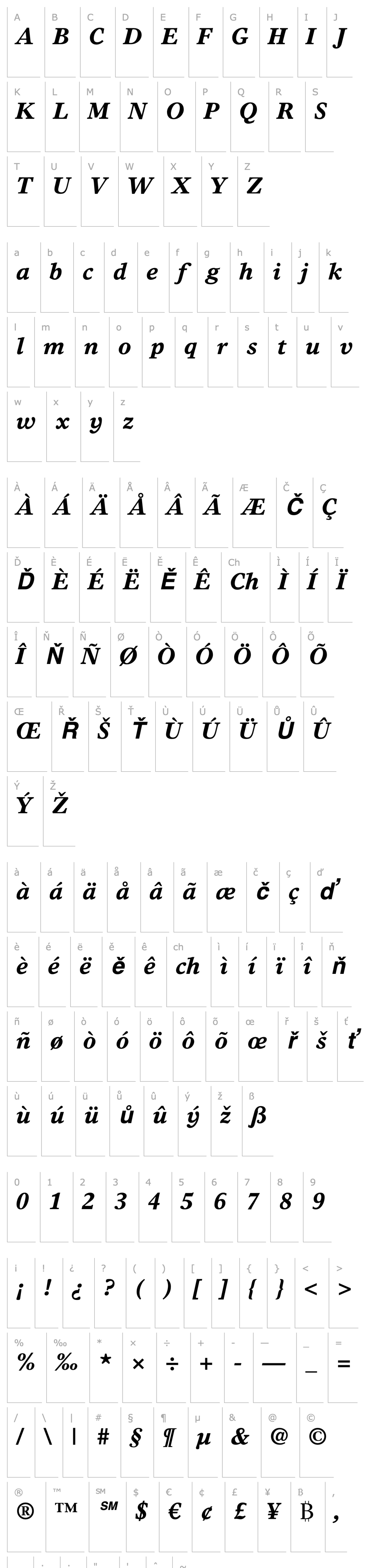 Overview Times Europa LT Bold Italic