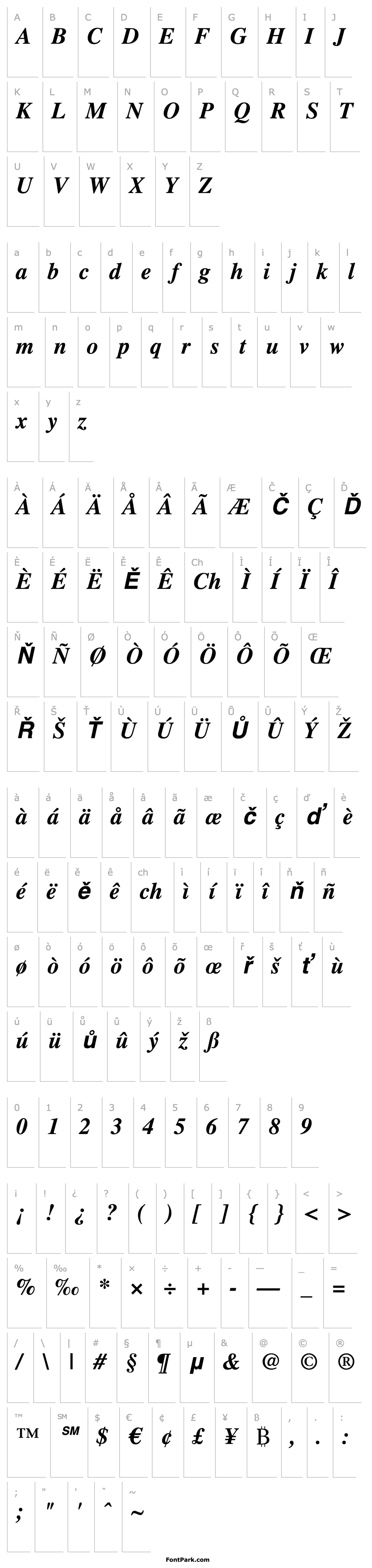 Overview Times LT Bold Italic