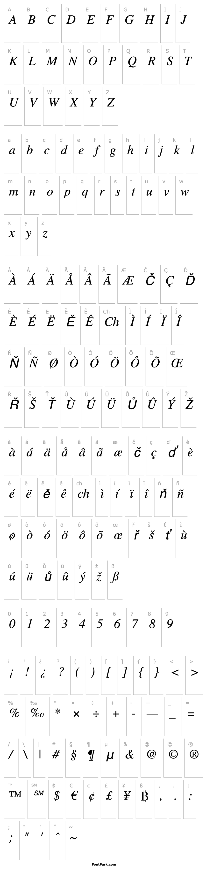 Overview Times LT Italic