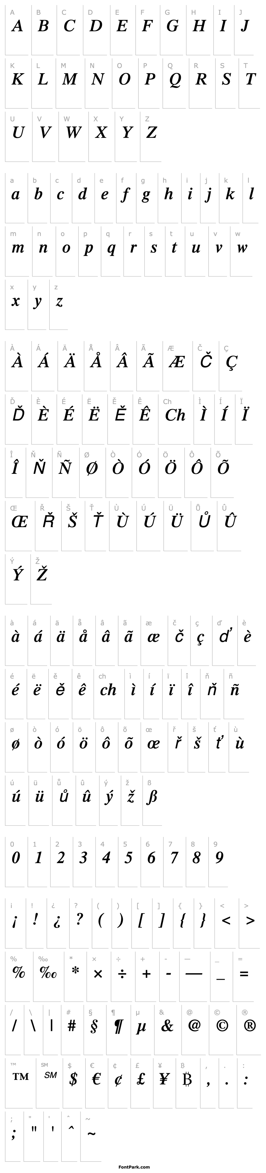 Overview Times LT Semibold Italic