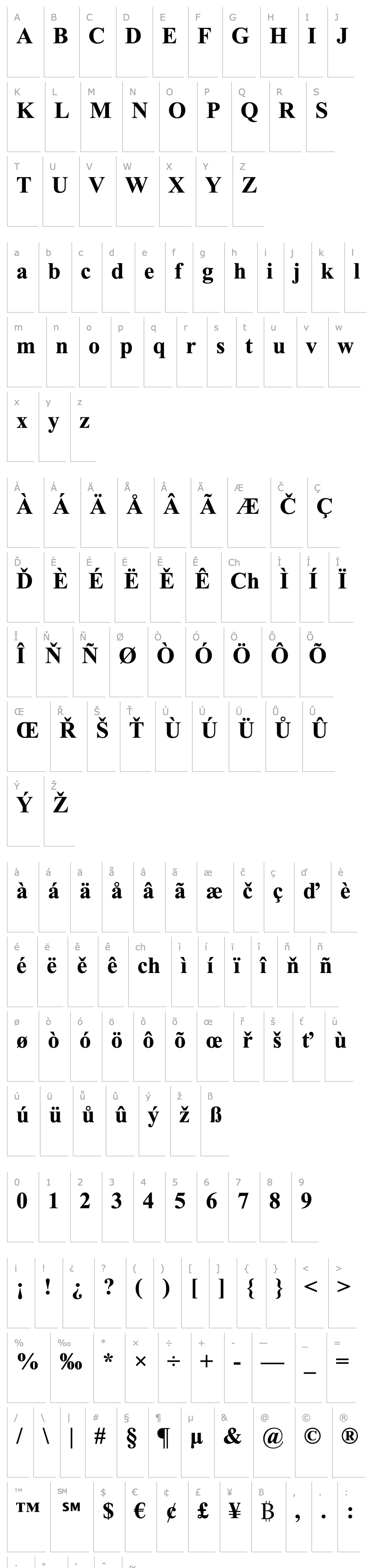 Overview Times New Roman Bold