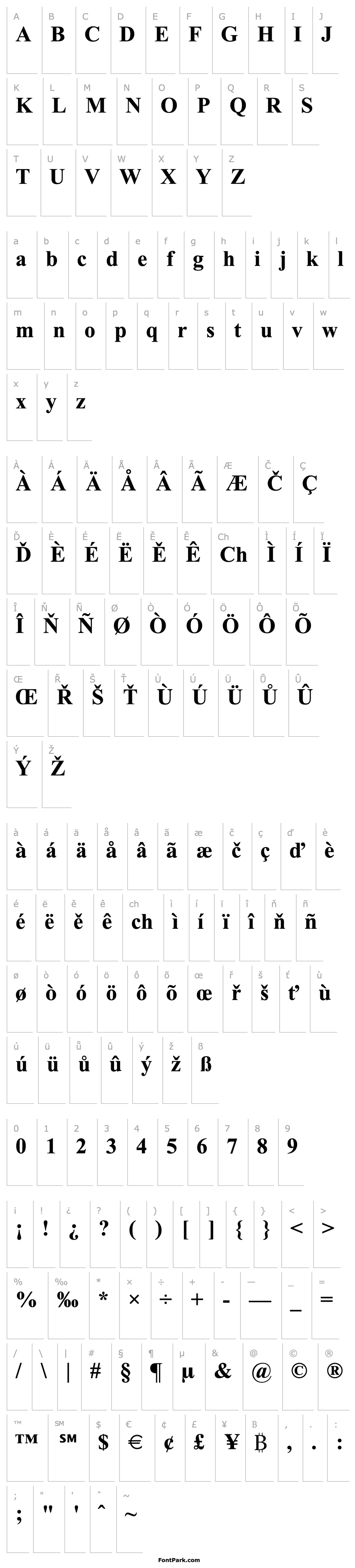 Overview Times New Roman CE Bold