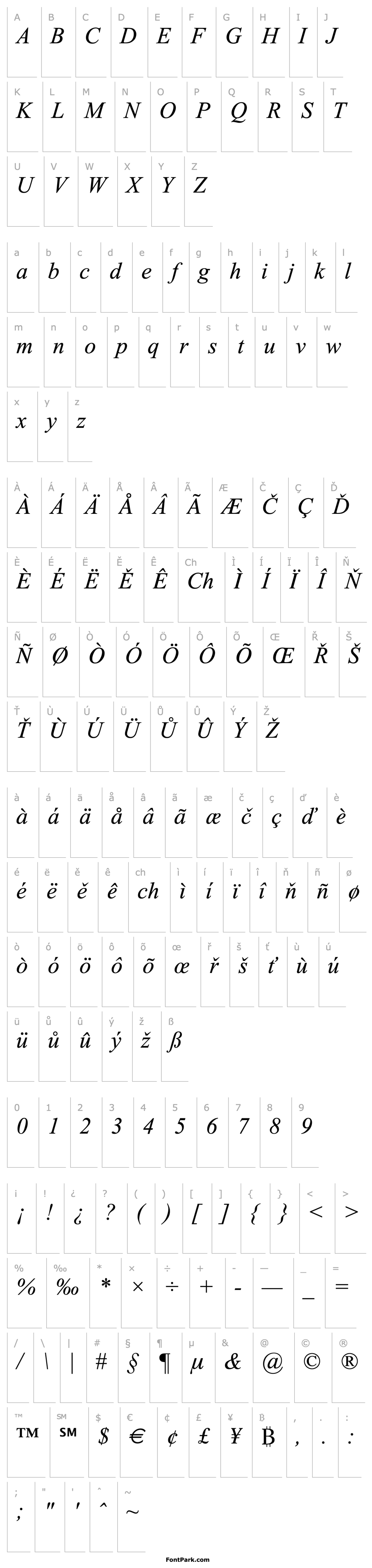 Overview Times New Roman CE Italic