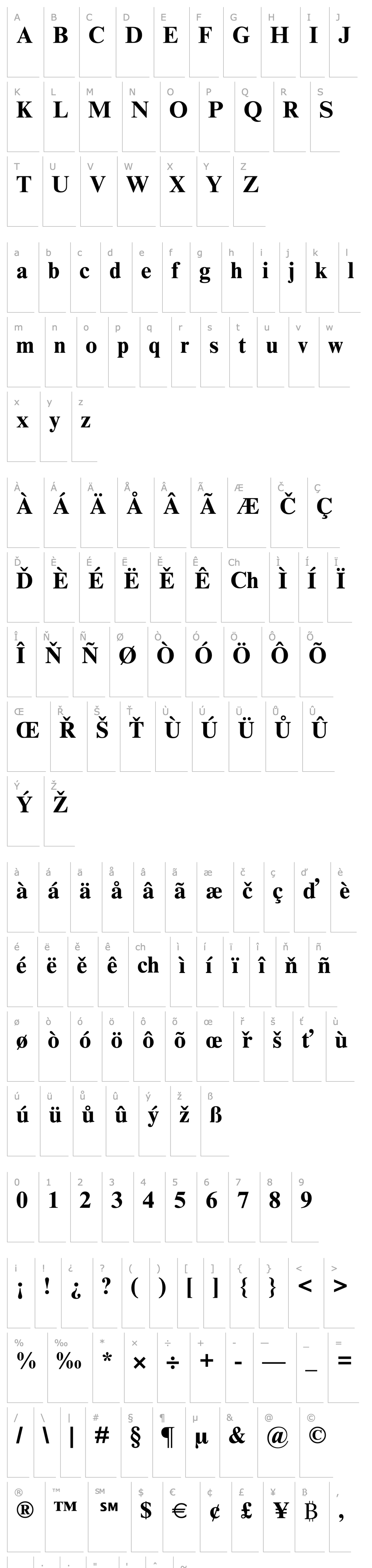 Overview Times New Roman Cyr Bold