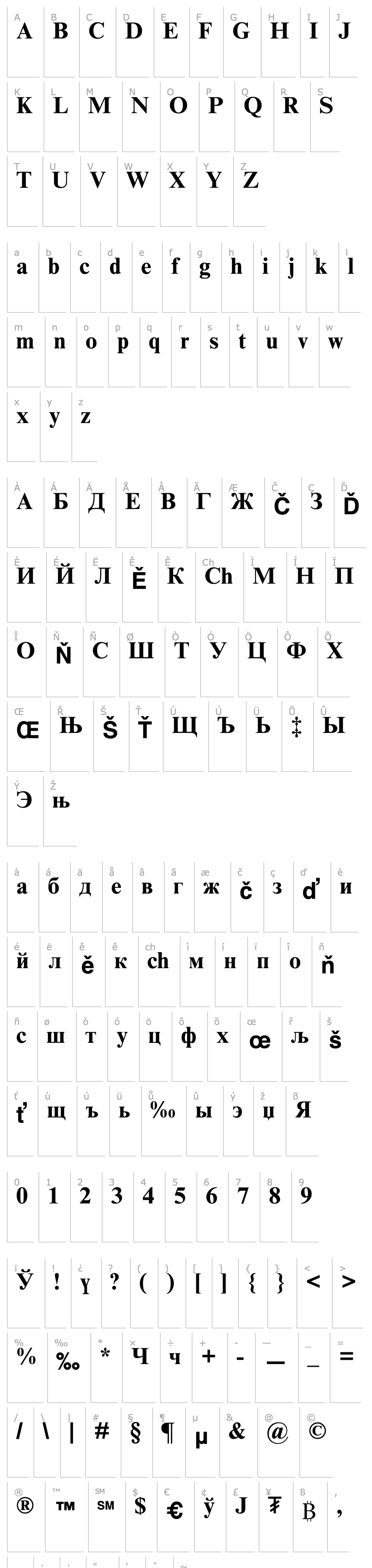 Overview Times New Roman Mon Bold